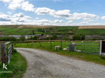 Picture 29